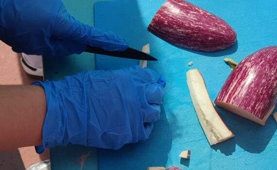 Το Δημοτικό Πολυδενδρίου και η ομάδα Love Van μαγείρεψαν για εμάς… Και τους ευχαριστούμε!